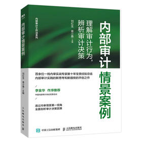 内部审计情景案例:理解审计行为,辨析审计决策