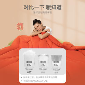 【趣播】JACE云朵被子冬被被芯棉被加厚保暖秋冬被玉米大豆纤维被春秋被