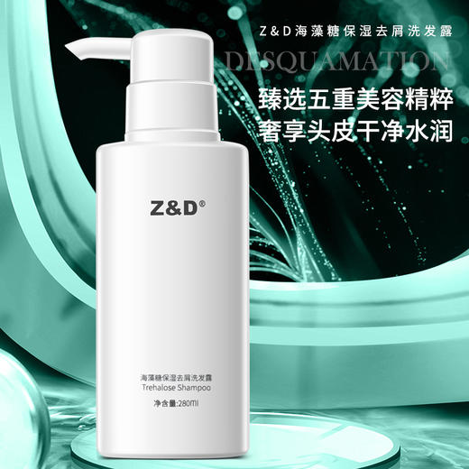 Z&D海藻糖保湿去屑洗发露 商品图0