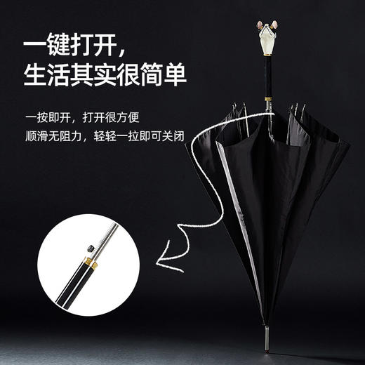 权杖长柄雨伞 商品图1