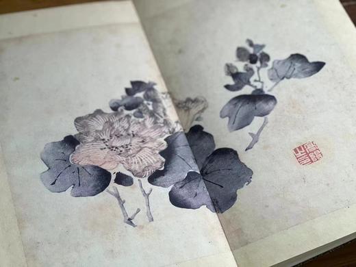 重磅推荐：《十竹斋书画谱》，明胡正言 辑印，2函16册，16开（29*16*34cm），经折装，西冷印社2018年8月一版一印，仅印250套。定价5800，售价1998元。
  商品图8
