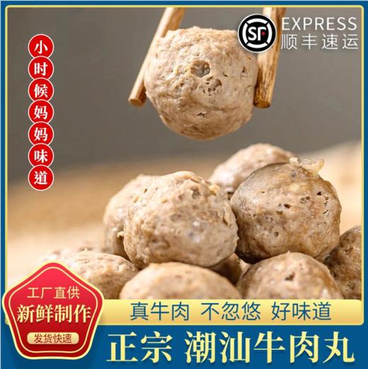 【外运冷链】麦兜龙潮汕牛肉丸牛筋丸 商品图2