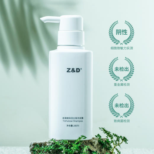 Z&D海藻糖保湿去屑洗发露 商品图1
