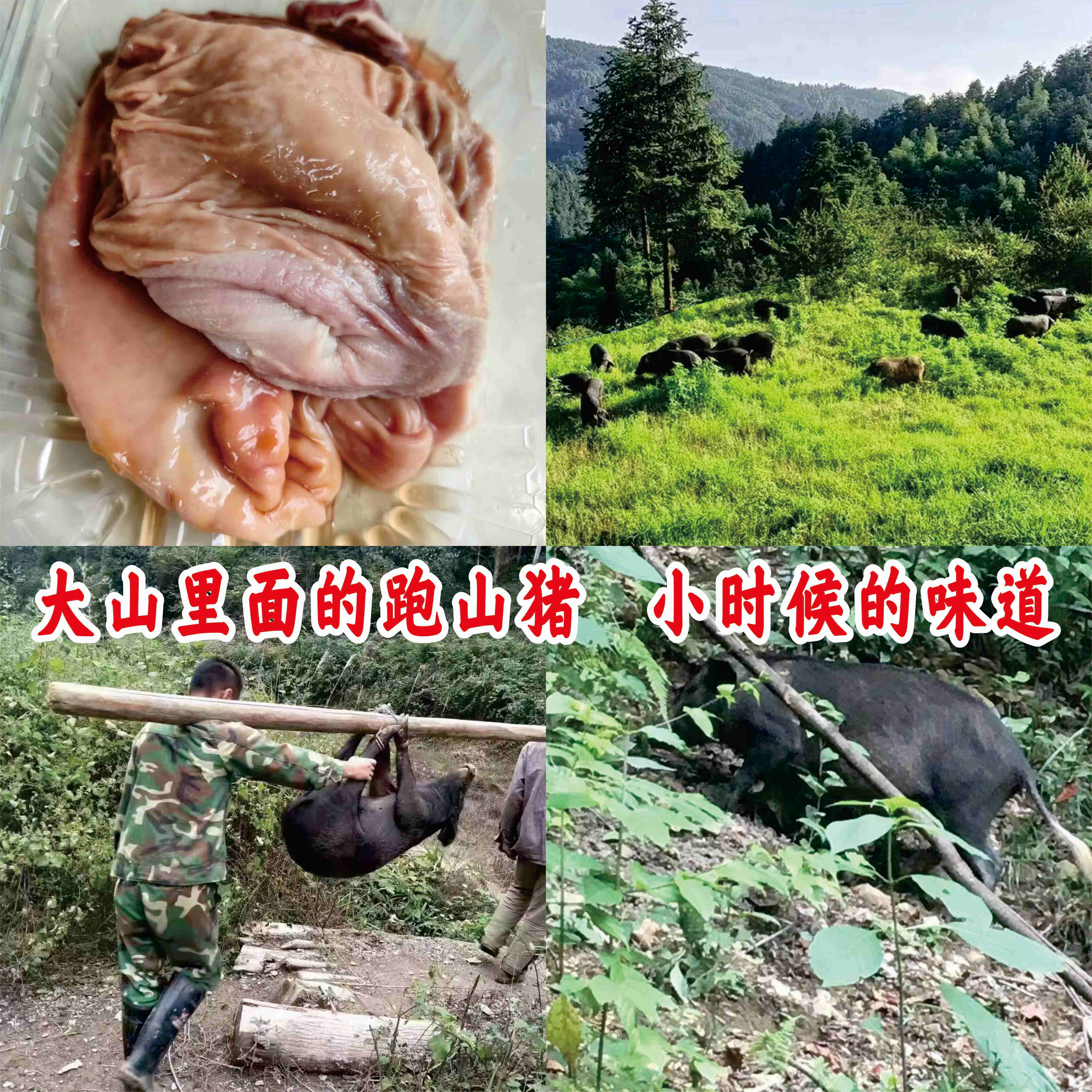 跑山黑猪，猪肚子，1个洗干净