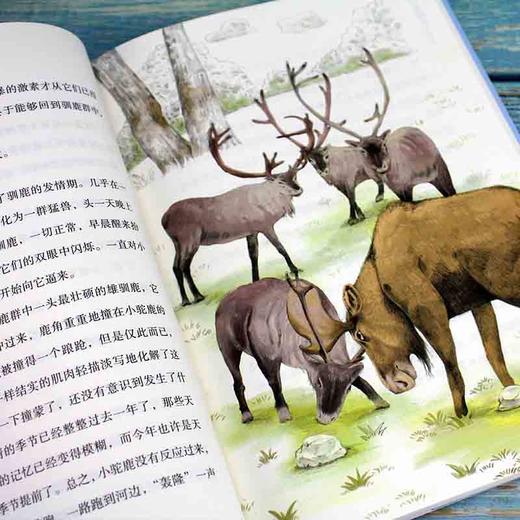 (仓发) 黑鹤动物文学名师导读：全彩珍藏版--驼鹿与飞马/化学工业出版社/格日勒其木格·黑鹤/9787122342027 商品图4