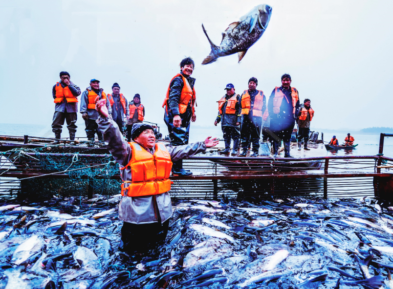 【2025新捕捞】【顺丰包邮满138元包邮，不满需另加30元运费】干冰+冰层层保护，南都湖有机认证淡水鱼，鱼丸，河虾系列，天然有机安全放心，新鲜捕捞/加工，无土星，天然放养有机健康基地直邮