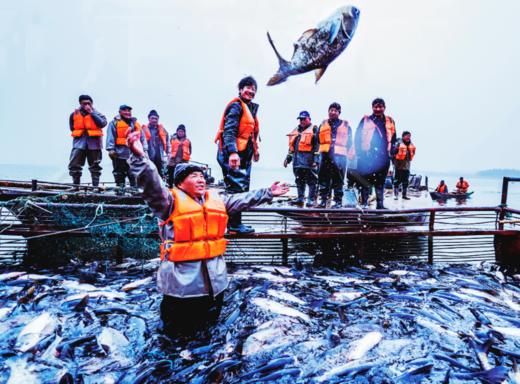 【2025新捕捞】【顺丰包邮满138元包邮，不满需另加30元运费】干冰+冰层层保护，南都湖有机认证淡水鱼，鱼丸，河虾系列，天然有机安全放心，新鲜捕捞/加工，无土星，天然放养有机健康基地直邮 商品图0