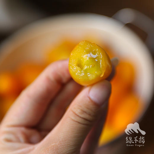 生态圣女果 | 合作生产* Eco-cherry tomato ｜Coproducted 商品图10