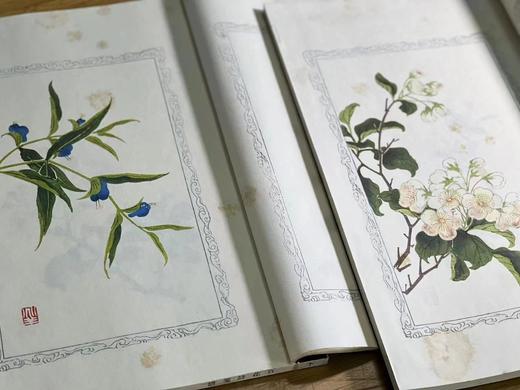 《百花诗笺谱》，张兆祥等绘，线装，一函二册，22*33cm，全彩精印，西泠印社2014年一版一印。定价750，售价299元 商品图7