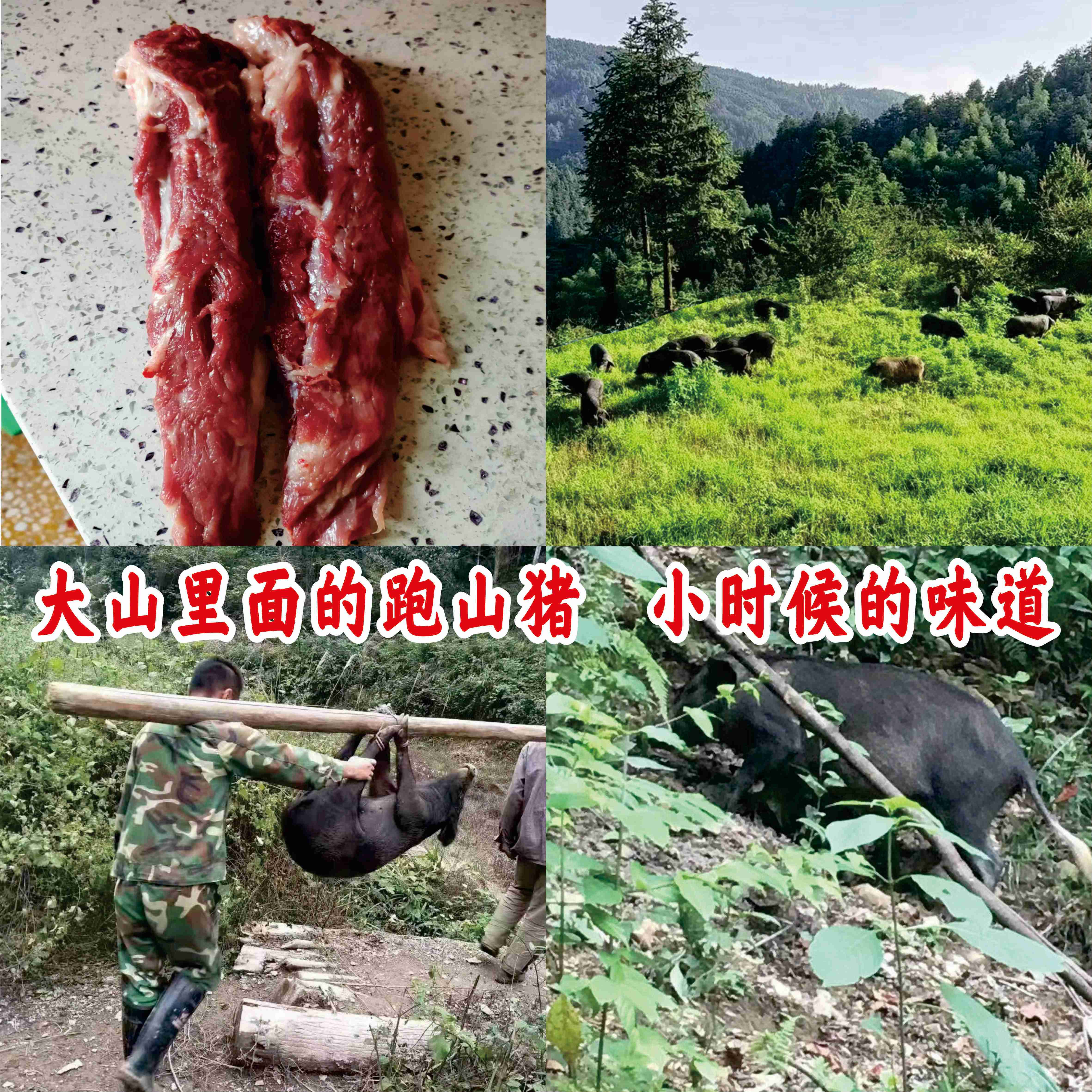 跑山黑猪，梅条肉 ，1斤