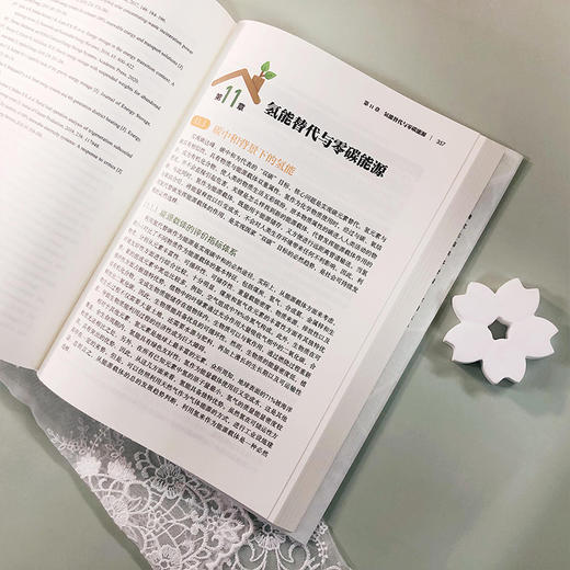 2060中国碳中和 商品图9