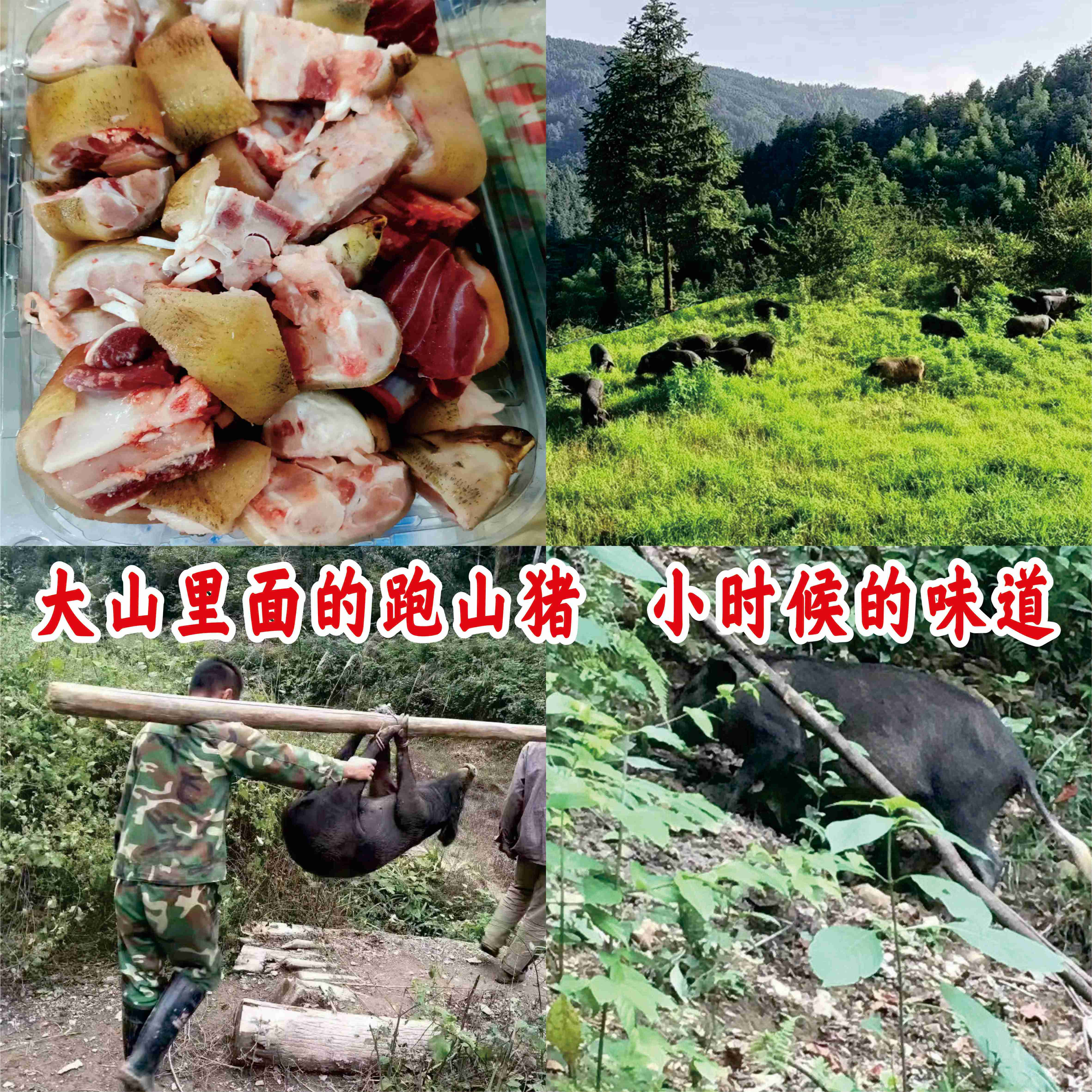 跑山黑猪，猪脚，2只2.5斤，洗干净切成小块