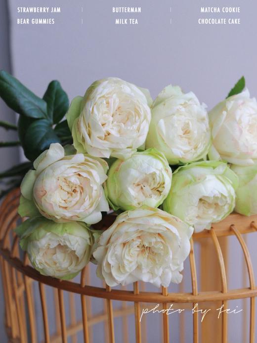 【夏雨荷玫瑰.稀有】9支送1支/份 买2份减10元 白绿色系 标准的奥斯汀花芯 商品图7