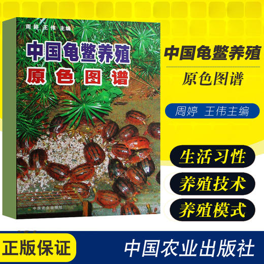中国龟鳖养殖原色图谱 【中国农业出版社官方正版】 商品图0