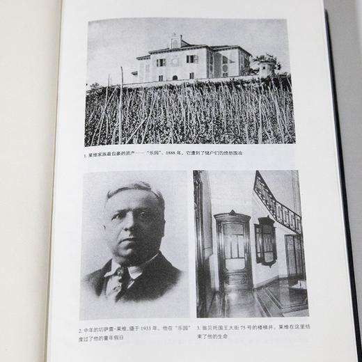 普里莫·莱维传 商品图1