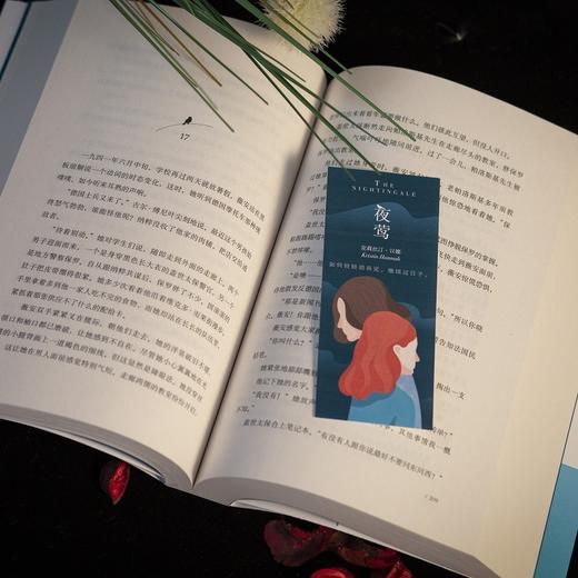 (仓发) 夜莺书籍 提名国际都柏林文学奖 关于爱与战争外国文学小说畅销书籍/北京联合出版公司/[美]克莉丝汀·汉娜/9787559654168 商品图8