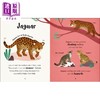 【中商原版】The Bedtime Book of Animals DK动物睡前怎么样 英文原版儿童绘本 科普读物 7到12岁 DK Publishing 商品缩略图3
