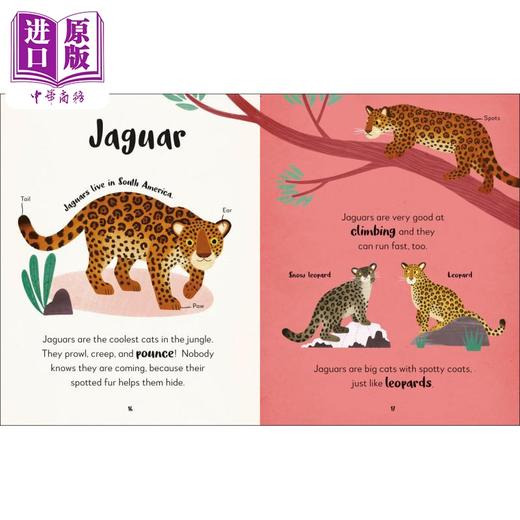 【中商原版】The Bedtime Book of Animals DK动物睡前怎么样 英文原版儿童绘本 科普读物 7到12岁 DK Publishing 商品图3