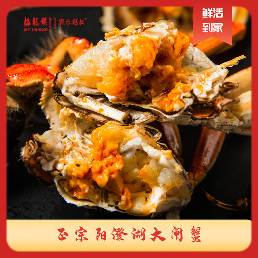 梅龙镇阳澄湖大闸蟹礼盒599型卡券 商品图4