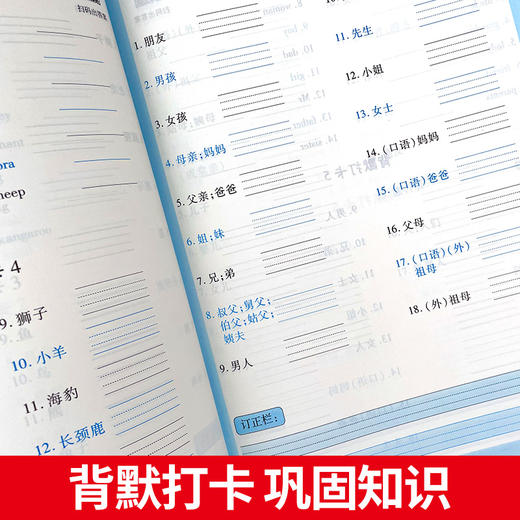 记忆力提升计划小学生英语必背单词多维度默写本 商品图2