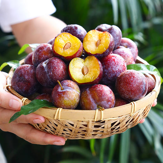 【四川脆红李】 脱骨李 脆甜多汁 肉质脆爽 现摘现发 商品图4