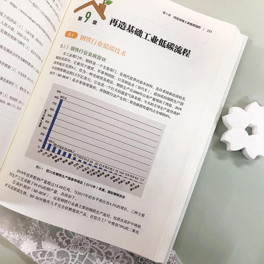 2060中国碳中和 商品图8