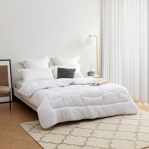 LOVO甄·悦 暖姜黑科技丝柔抗菌春秋被   VQS2021-1 商品图0