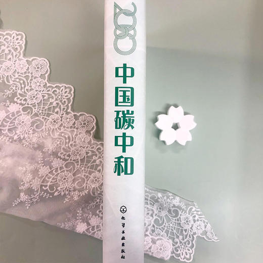 2060中国碳中和 商品图5