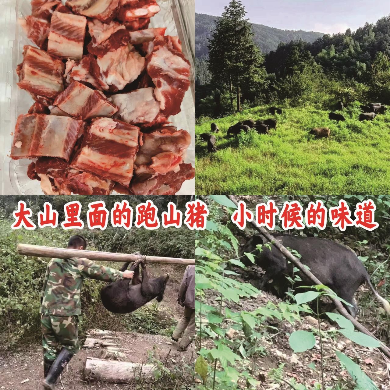 跑山黑猪，猪排骨 ，1份2斤