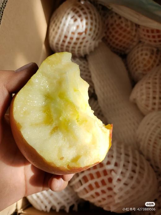品牌新疆 阿克苏 苹果【 整件】 商品图1