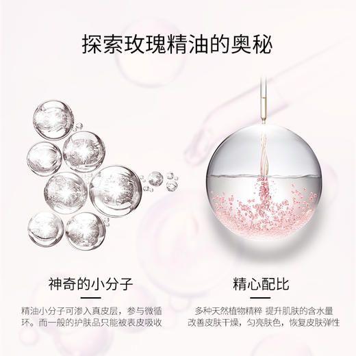 艾玛丝/吉普赛玫瑰素颜菁华面膜27克X5片 商品图5