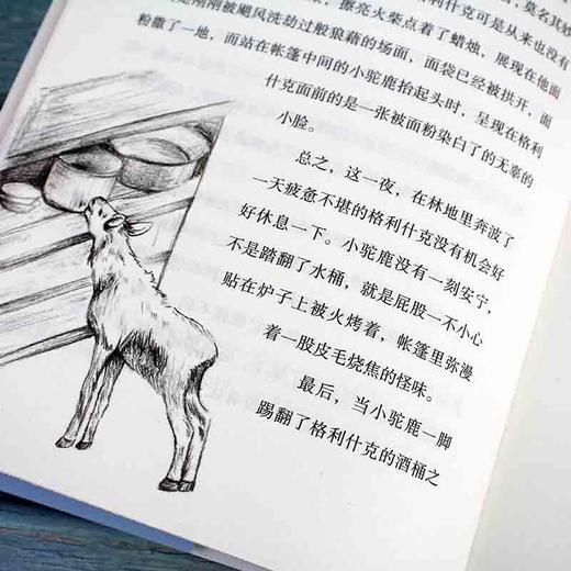 (仓发) 黑鹤动物文学名师导读：全彩珍藏版--驼鹿与飞马/化学工业出版社/格日勒其木格·黑鹤/9787122342027 商品图3