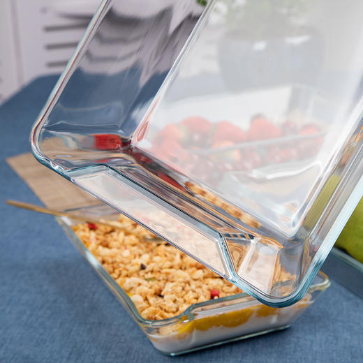 【笑麻麻荟&菲内克斯】钢化玻璃长方形烤鱼盘微波炉烤箱蒸鱼盘透明餐盘家用商用装鱼盘子A 商品图6