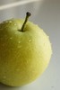 【33年老树 自然清甜】自然动力法种植的皇冠梨 / 酥梨 超限定 新农人系列 商品缩略图5