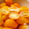 生态圣女果 | 合作生产* Eco-cherry tomato ｜Coproducted 商品缩略图2