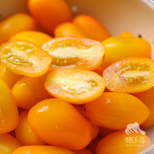 生态圣女果 | 合作生产* Eco-cherry tomato ｜Coproducted 商品图2