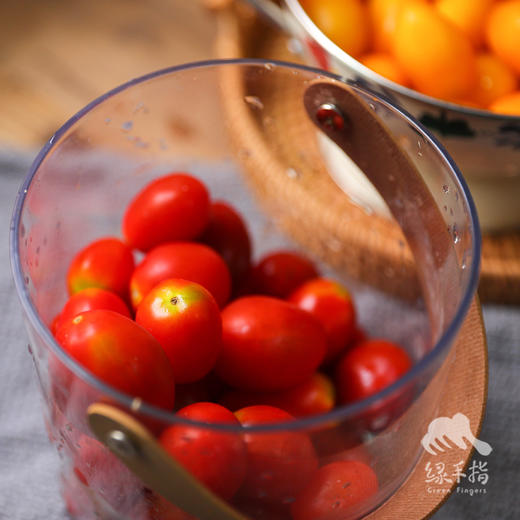 生态圣女果 | 合作生产* Eco-cherry tomato ｜Coproducted 商品图5