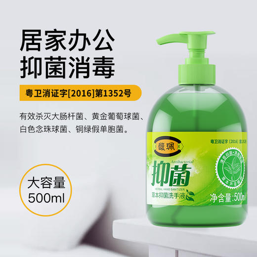 馥珮草本抑菌洗手液500ml（买一送一） 商品图2