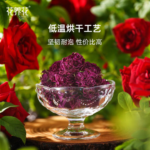 玫瑰小镇 烘干/冻干玫瑰花茶单朵礼盒 商品图2