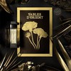 L'artisan parfumeur 阿蒂仙之香「东方寓言」浓香水100ml 2021年新品 商品缩略图2