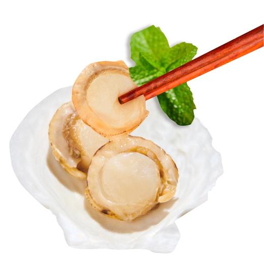 福字号 新鲜超大虾夷扇贝肉去胃无沙248g无冰帆立贝 商品图2