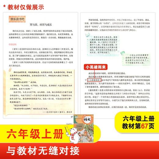 (仓发) 小英雄雨来 快乐读书吧六年级上推荐课外阅读书 小学语文教材配套课外阅读书目 有声朗读版 商务印书馆/商务印书馆/管桦/9787100184953 商品图1