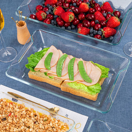 【笑麻麻荟&菲内克斯】钢化玻璃长方形烤鱼盘微波炉烤箱蒸鱼盘透明餐盘家用商用装鱼盘子A 商品图1