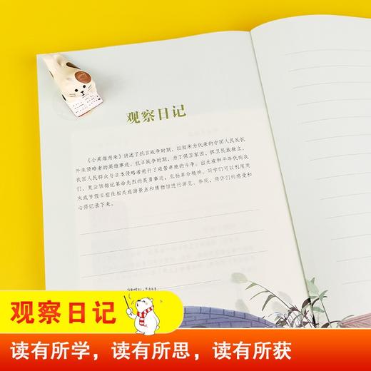 (仓发) 小英雄雨来 快乐读书吧六年级上推荐课外阅读书 小学语文教材配套课外阅读书目 有声朗读版 商务印书馆/商务印书馆/管桦/9787100184953 商品图9