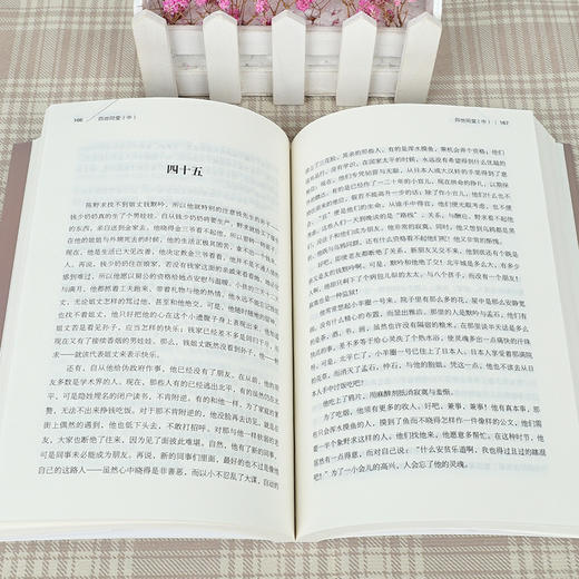 【申怡读书】老舍精品作品集全10册 商品图4