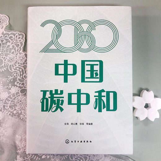 2060中国碳中和 商品图3