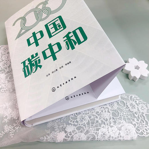 2060中国碳中和 商品图7