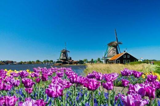 荷兰个人旅游签证·代做机票酒店行程单+陪同办签+支持商务、探亲访友 商品图1