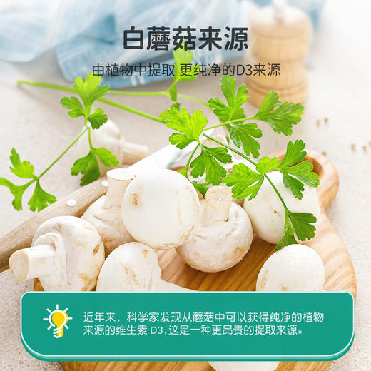 英珞维高维生素D白蘑菇蓝莓压片糖果120粒 商品图1