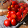 生态圣女果 | 合作生产* Eco-cherry tomato ｜Coproducted 商品缩略图7